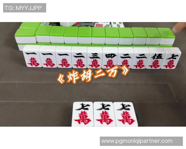 pG麻将胡了2-玩转麻将，pG麻将胡了2的战术与乐趣-pG麻将胡了2
